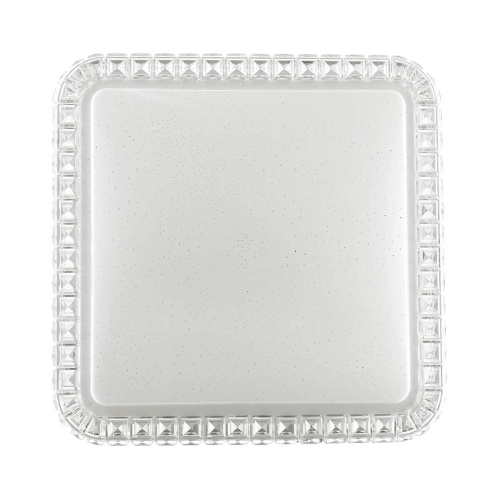 Настенно-потолочный светодиодный светильник Sonex Pale Karola 2035/CL