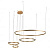 Подвесной светодиодный светильник Loft IT Ring 10017/4М