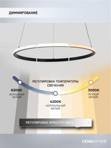 Подвесной светодиодный светильник Seven Fires Lisel WD6021/1P-BK