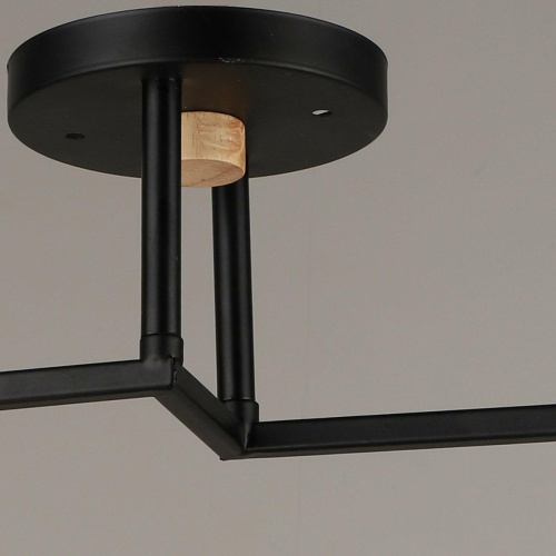 Потолочный светильник Reluce 04609-0.3-02 Потолочный светильник Reluce 04609-0.3-02