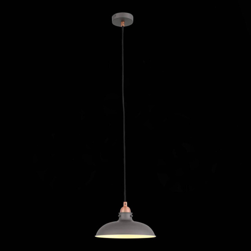 Подвесной светильник ST Luce Pietanza SL323.403.01