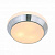 Потолочный светильник ST Luce Bagno SL469.502.03