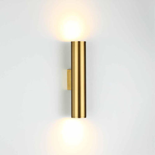 Настенный светодиодный светильник Odeon Light Dario 3833/2WA Настенный светодиодный светильник Odeon Light Dario 3833/2WA