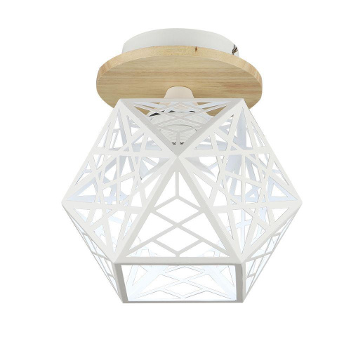 Потолочный светильник Seven Fires Aland WD3572/1C-WT Потолочный светильник Seven Fires Aland WD3572/1C-WT