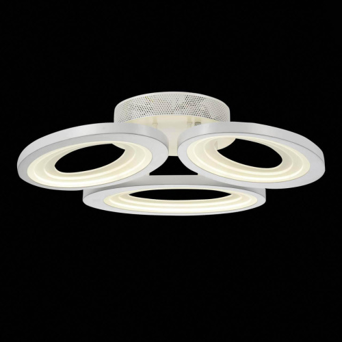 Потолочный светодиодный светильник ST Luce SL895.502.03 Потолочный светодиодный светильник ST Luce SL895.502.03