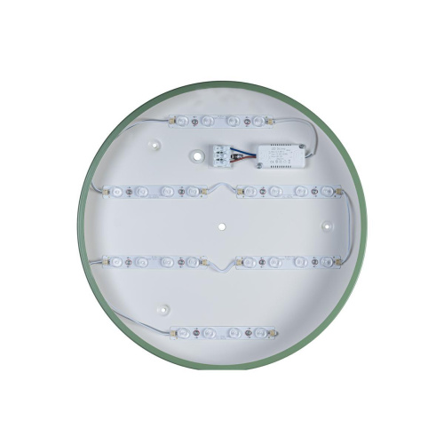 Потолочный светодиодный светильник Loft IT Axel 10003/24 green Потолочный светодиодный светильник Loft IT Axel 10003/24 green