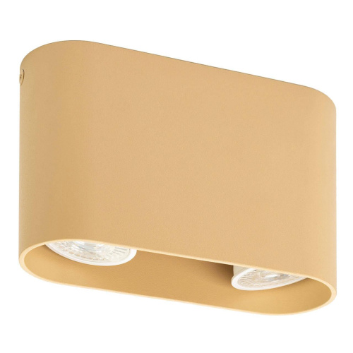 Потолочный светильник Denkirs DK2006-CO Потолочный светильник Denkirs DK2006-CO