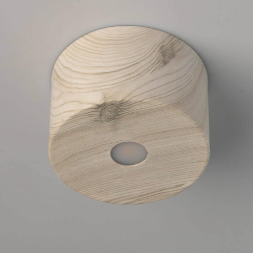 Потолочный светодиодный светильник De Markt Иланг 5 712010701 Потолочный светодиодный светильник De Markt Иланг 5 712010701