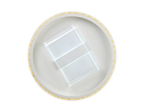 Потолочный светодиодный светильник Ambrella light Original FA600