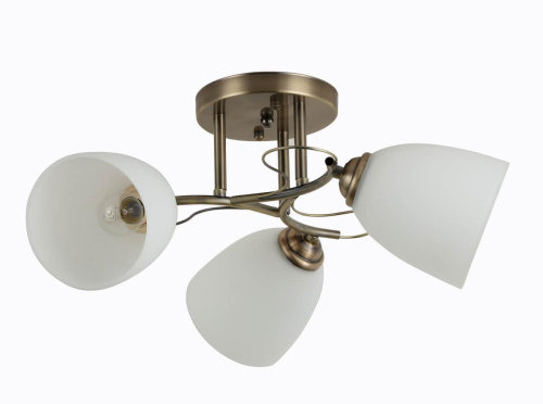 Потолочная люстра Rivoli Carlo 9005-303 Б0044452