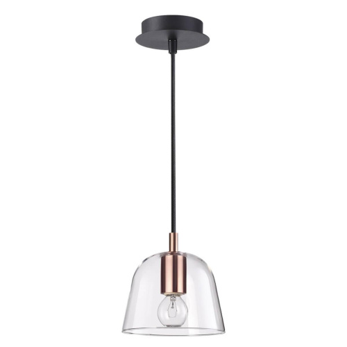 Подвесной светильник Lumion Joseph 4455/1