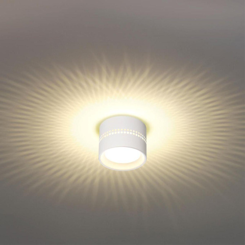 Потолочный светильник Odeon Light Real 6609/1C