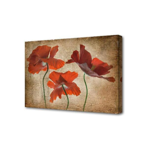 Холст Toplight 50х75х2см TL-H3029