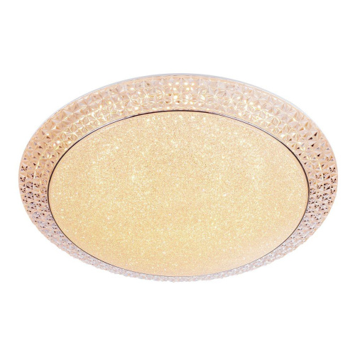 Потолочный светодиодный светильник Escada 10273/S LED Потолочный светодиодный светильник Escada 10273/S LED