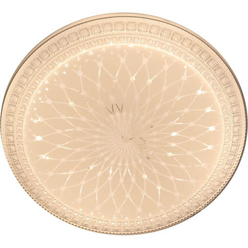 Потолочный светильник Reluce 03638-9.2-60W*2B