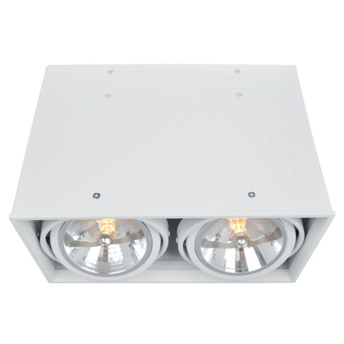 Потолочный светильник Arte Lamp Cardani A5936PL-2WH Потолочный светильник Arte Lamp Cardani A5936PL-2WH