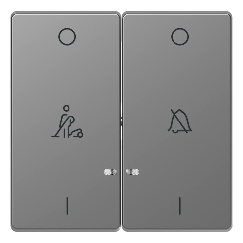 Клавиша двойная Schneider Electric Merten D-Life MTN3429-6036