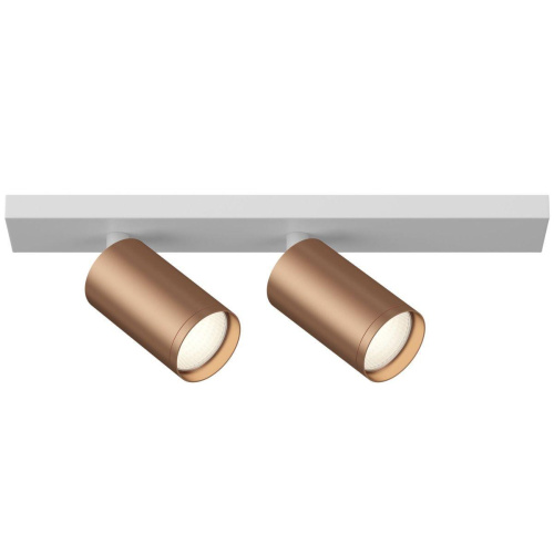 Спот Maytoni Technical Focus S C051CL-2WC (C051CL-02W+TRA020-01C+TRA020-01C) Спот Maytoni Technical Focus S C051CL-2WC (C051CL-02W+TRA020-01C+TRA020-01C)