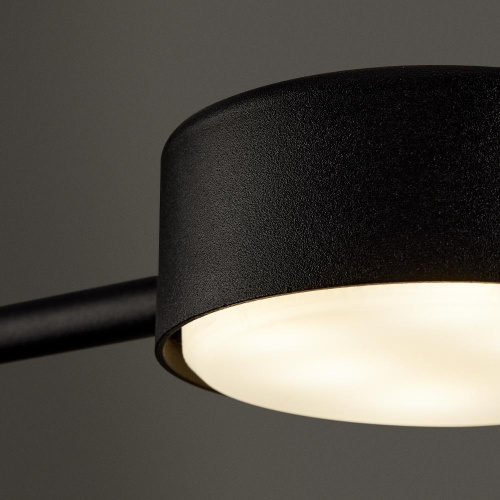 Потолочный светильник Freya FR5363CL-02B1