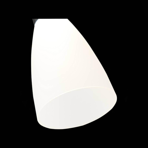 Подвесной светодиодный светильник ST Luce Agioni SL1590.403.01 Подвесной светодиодный светильник ST Luce Agioni SL1590.403.01