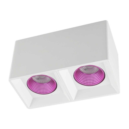 Потолочный светильник Denkirs DK3020WPI DK3085-WH+PI Потолочный светильник Denkirs DK3020WPI DK3085-WH+PI