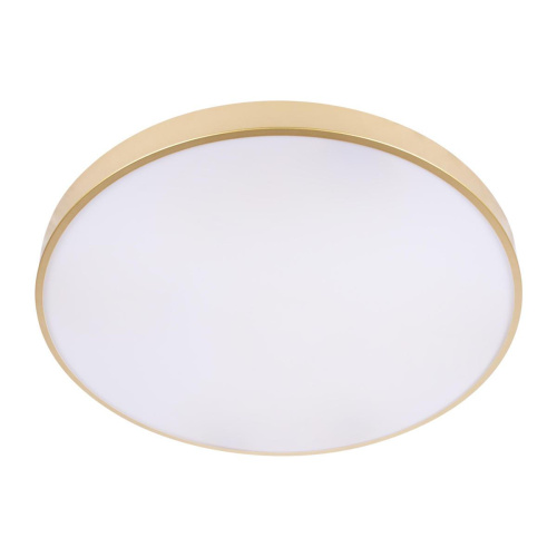 Потолочный светодиодный светильник Loft IT Flims 10228/B Потолочный светодиодный светильник Loft IT Flims 10228/B