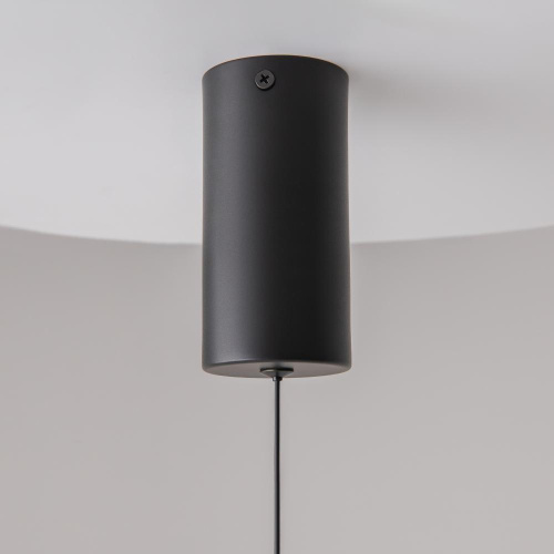 Подвесной светильник Technical P022PL-L10B Подвесной светильник Technical P022PL-L10B