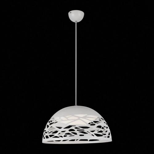 Подвесной светодиодный светильник ST Luce SL273.503.01
