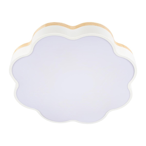 Потолочный светодиодный светильник Loft IT Axel 10225/36 White