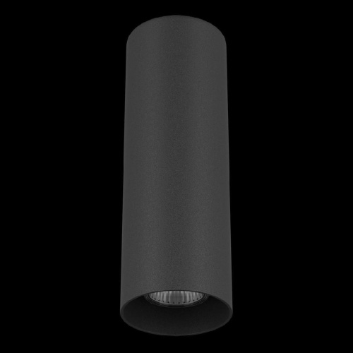 Потолочный светильник Lightstar Rullo 216497