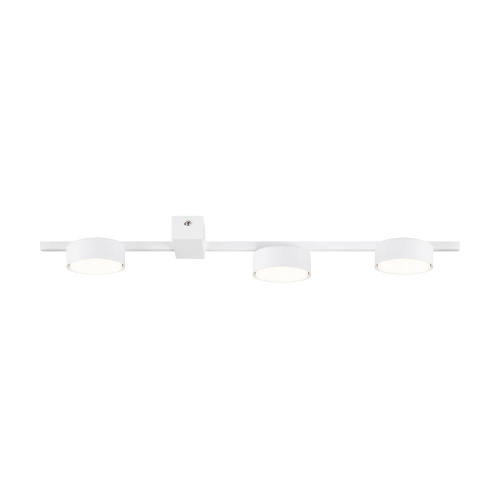 Потолочный светильник Freya FR5363CL-03W Потолочный светильник Freya FR5363CL-03W