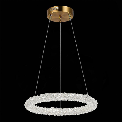 Подвесной светодиодный светильник ST Luce Avana SL6110.203.01