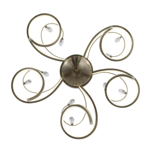 Потолочная светодиодная люстра ST Luce Mieleno SL399.312.05