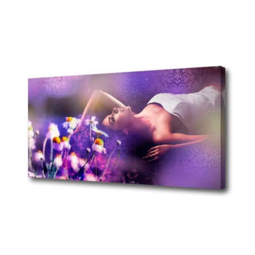 Холст Фиолетовые сны Toplight 50х100х2см TL-H3005