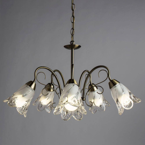 Подвесная люстра Arte Lamp 2 A6273LM-5AB Подвесная люстра Arte Lamp 2 A6273LM-5AB