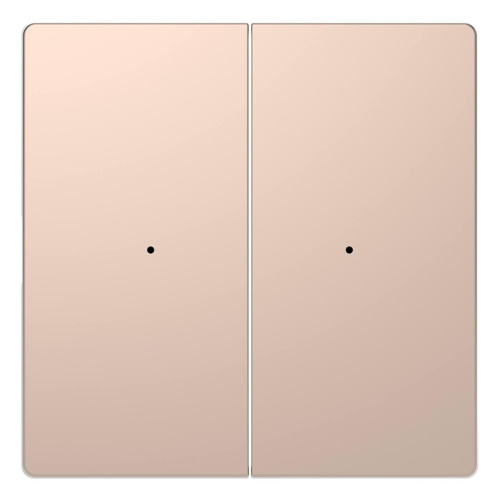 Клавиша двойная Schneider Electric Merten D-Life MTN5220-6051