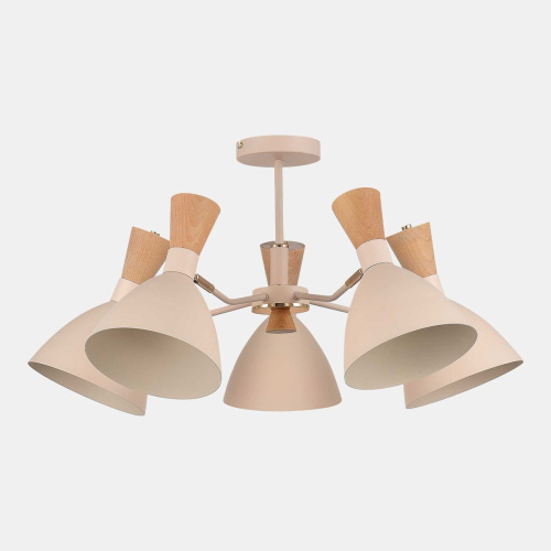 Потолочная люстра Evoluce Vista SLE1256-502-05