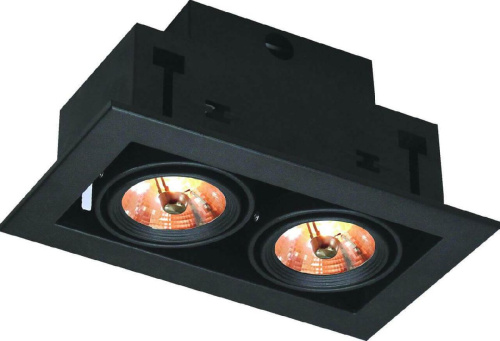 Встраиваемый светильник Arte Lamp Technika A5930PL-2BK