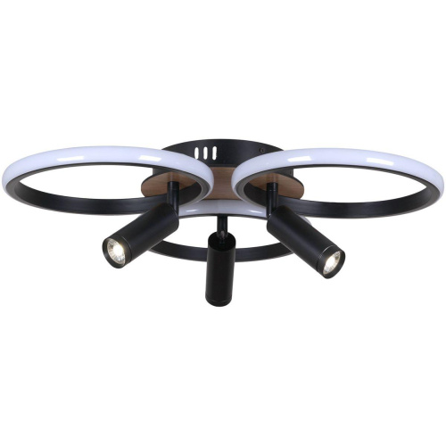 Потолочная светодиодная люстра Reluce 09440-0.3-3+3