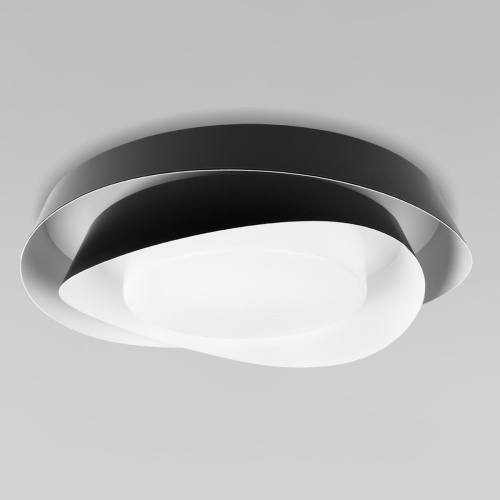 Потолочный светильник Loft IT Petale 10256 Black Потолочный светильник Loft IT Petale 10256 Black