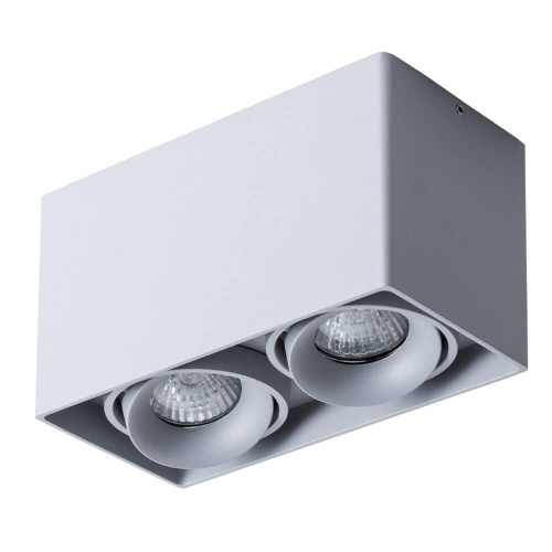 Потолочный светильник Arte Lamp Pictor A5654PL-2GY Потолочный светильник Arte Lamp Pictor A5654PL-2GY