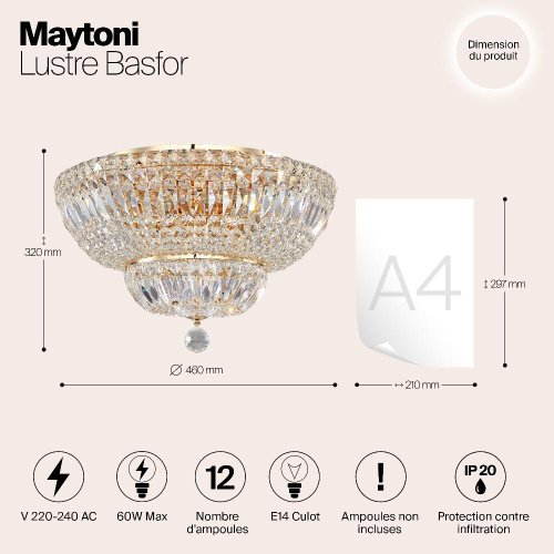 Потолочный светильник Maytoni Basfor DIA100-CL-12-G Потолочный светильник Maytoni Basfor DIA100-CL-12-G