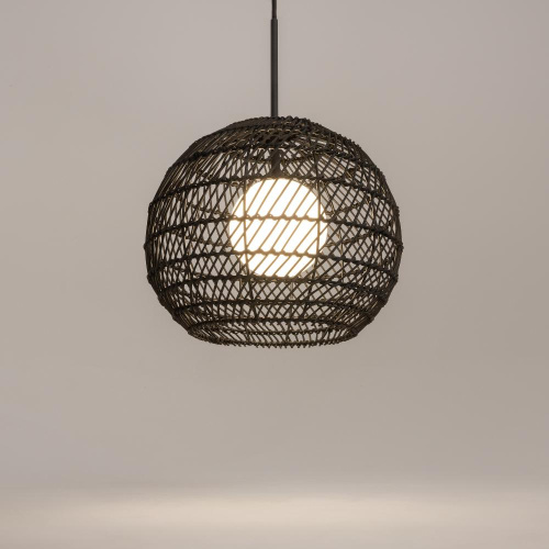 Подвесной светильник Maytoni MOD204PL-01B1