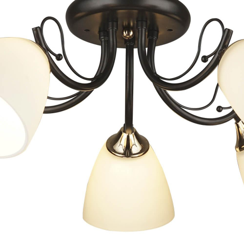 Потолочная люстра Wedo light Алес 66268.01.69.05