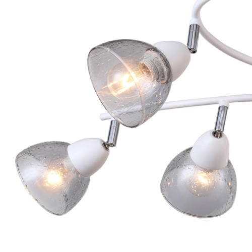 Потолочная люстра F-Promo Rosebud 2350-8U