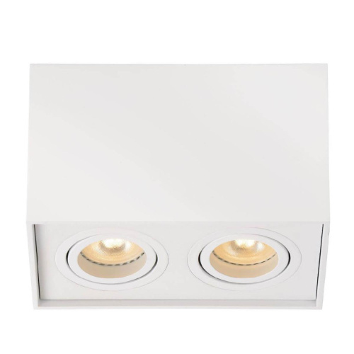 Потолочный светильник Lucide Tube 22953/02/31 Потолочный светильник Lucide Tube 22953/02/31