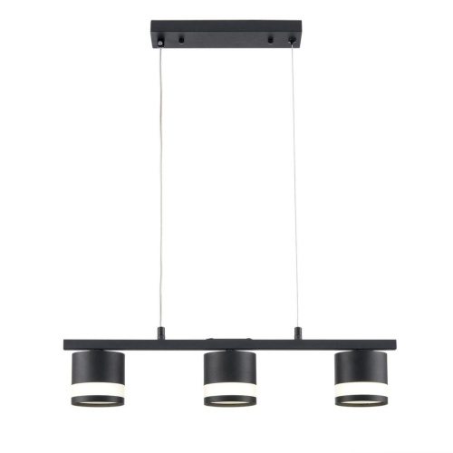 Подвесная люстра Lumion Comfi Lanika 8240/3 Подвесная люстра Lumion Comfi Lanika 8240/3
