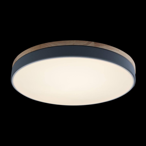 Потолочный светодиодный светильник Loft IT Axel 10001/36 grey Потолочный светодиодный светильник Loft IT Axel 10001/36 grey