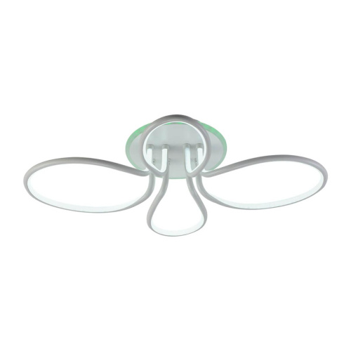 Потолочная светодиодная люстра Profit Light 6009/2+2A WHT