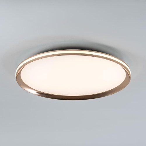 Потолочный cветильник LED4U L3020-500 GD
